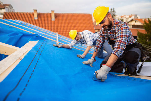 Best Roof Repair Services  in Zanesville, OH